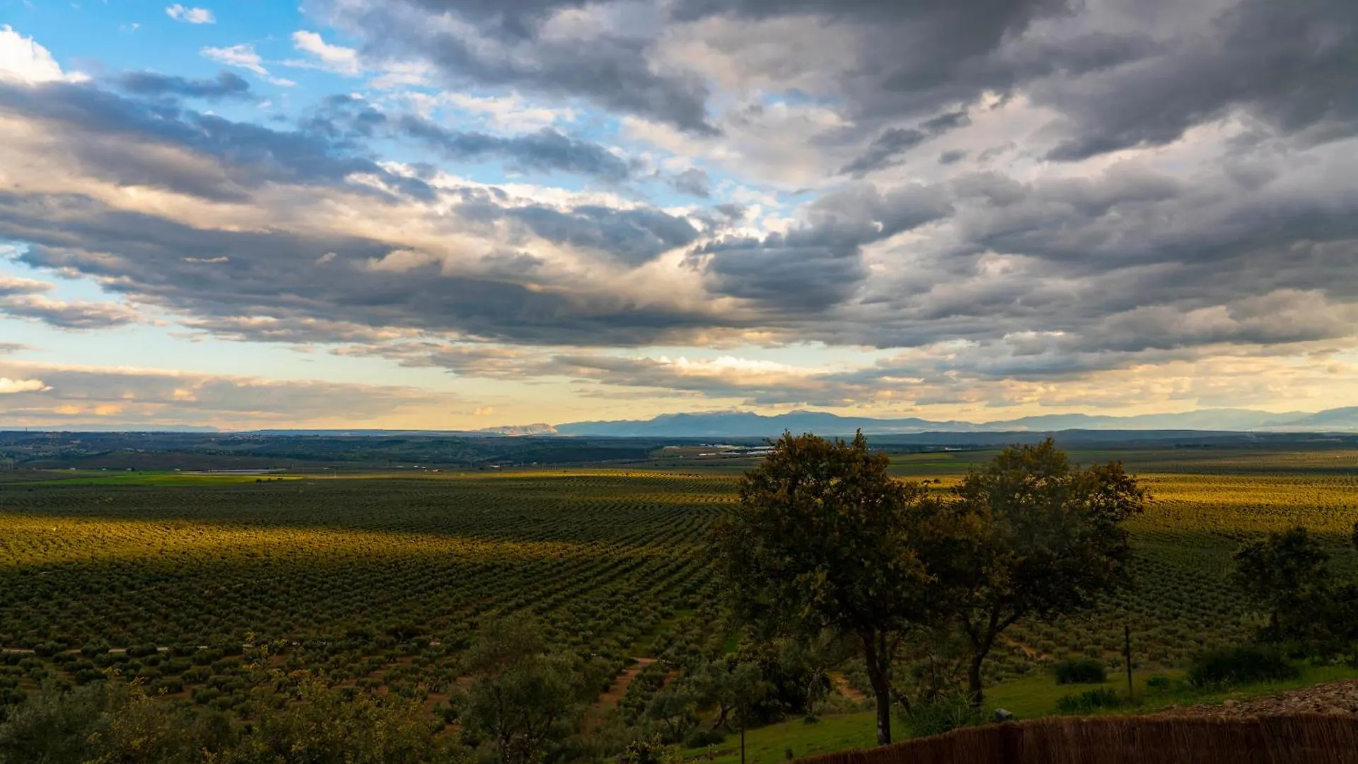 Gerendaház Desde Mi Cielo Villa Baños de la Encina Spanyolország